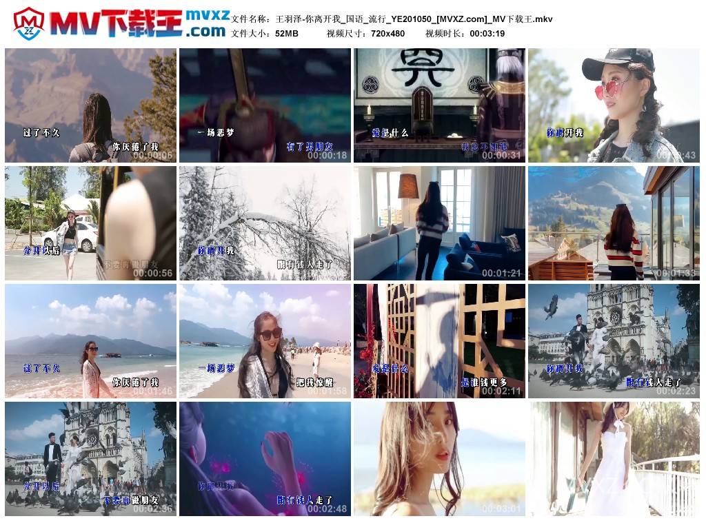 王羽泽-你离开我_国语_流行_YE201050